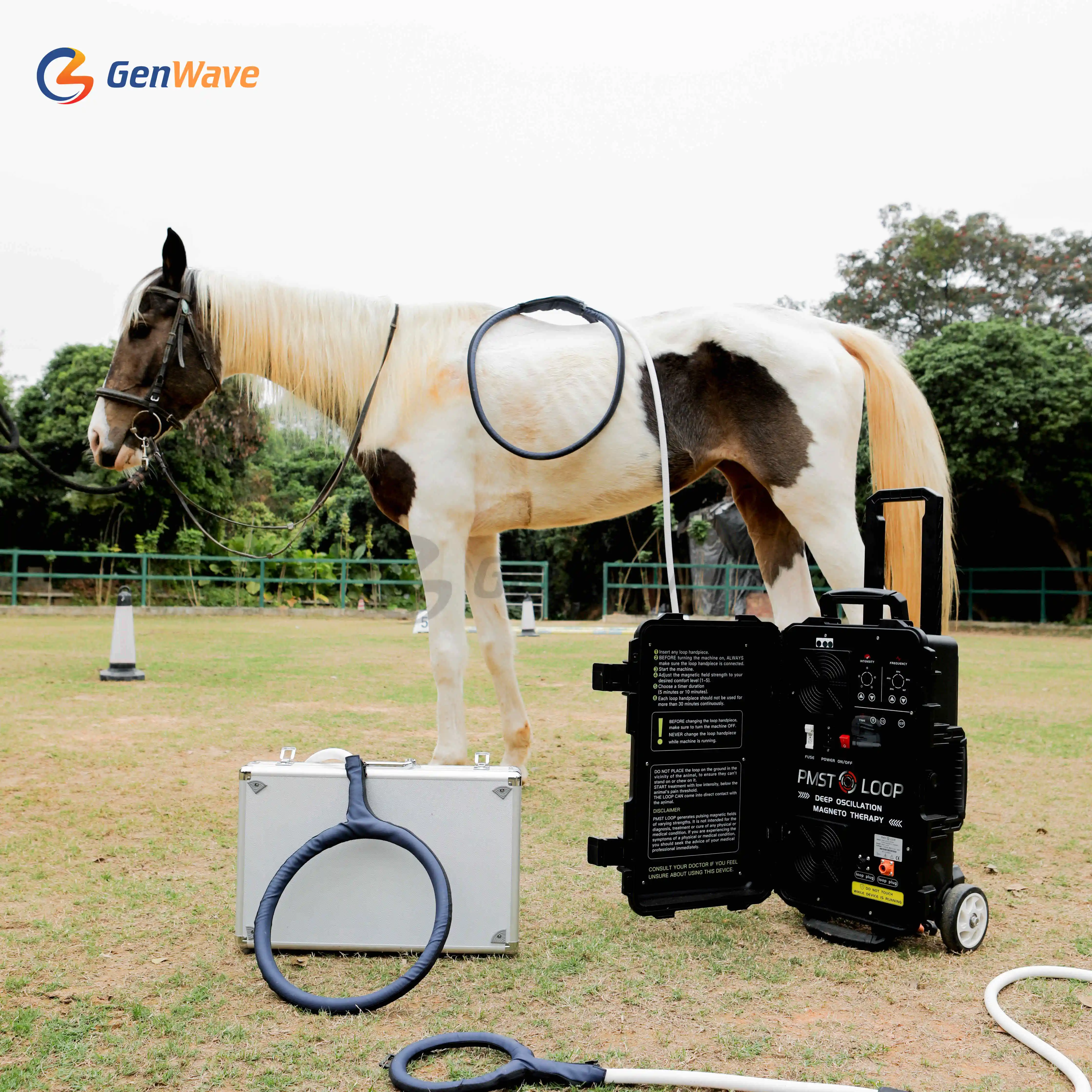 Portable Pemf Magnetic Therapy Device Pmst Loop Horse Magnetic Therapy Pemf Machine