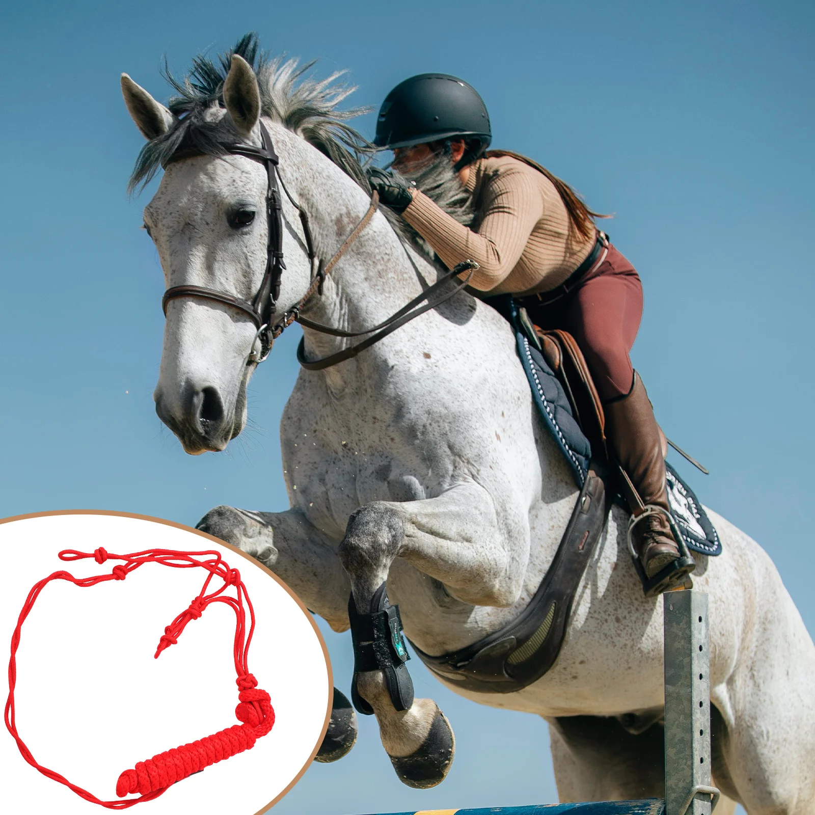 رسن الحصان مقاوم للاهتراء، بوليستر عالي الجودة، معدات تدريب مريحة مناسبة، جثور إمداد الحصان المحمول