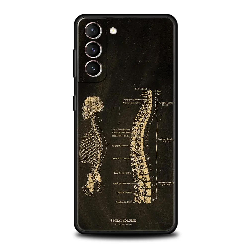 Anatomy Skeleton Chalkboard Body Heart Phone Case For Samsung Galaxy S25 S24 S23 FE S22 Ultra S20 S21 5G S10 Plus S10E Cover