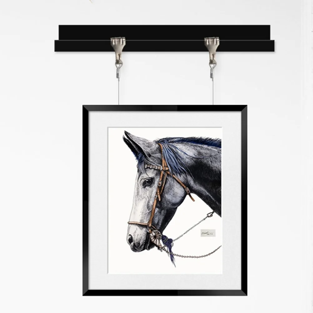 

10 Sets Picture Rail Hook Hanging Systems for Walls Frame Wire Mirror Adjustable Hangers Hooks Stainless Steel