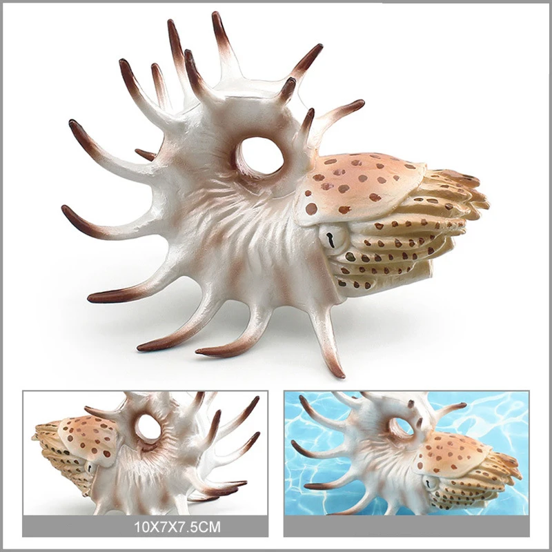 Children Cognitive Toy Simulation Marine Life Hollow Ridge Nautilus Model Sand Tray Decoration Desktop Decorative Ornaments Gift