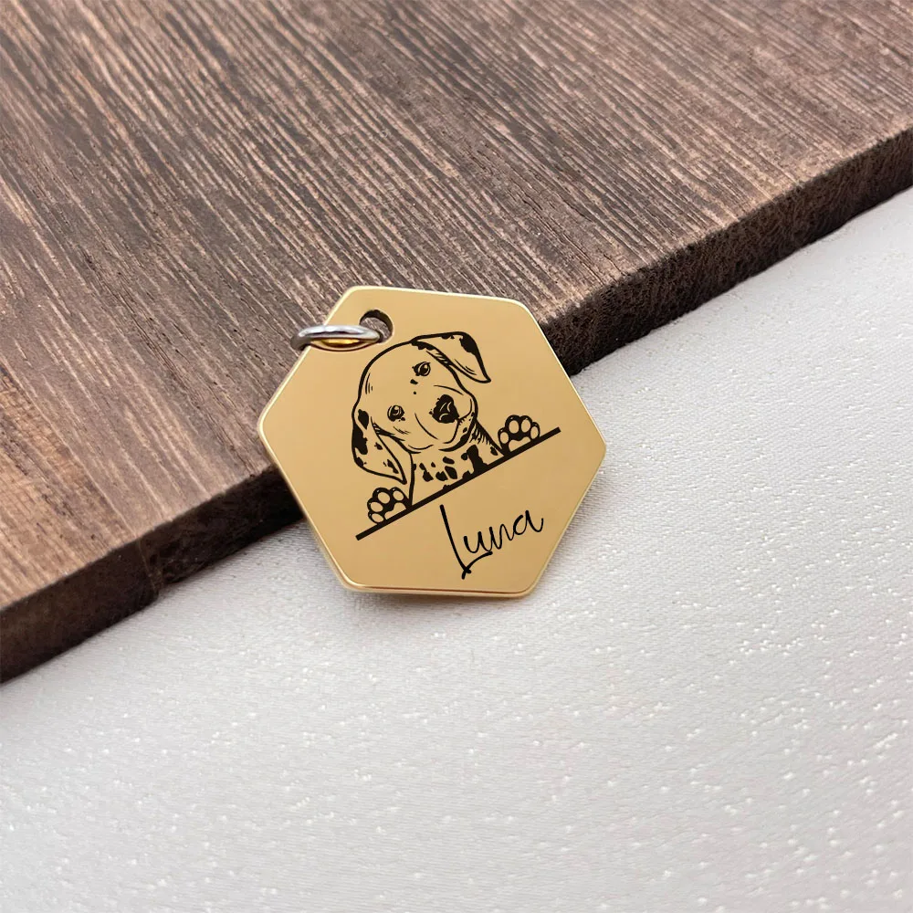 Personalized Dog Tag Hexagon Dog Name ID Tag Cat Tag Stainless Steel Pet Anti-lost Tag Puppy Accessories Dogs Collar Customized