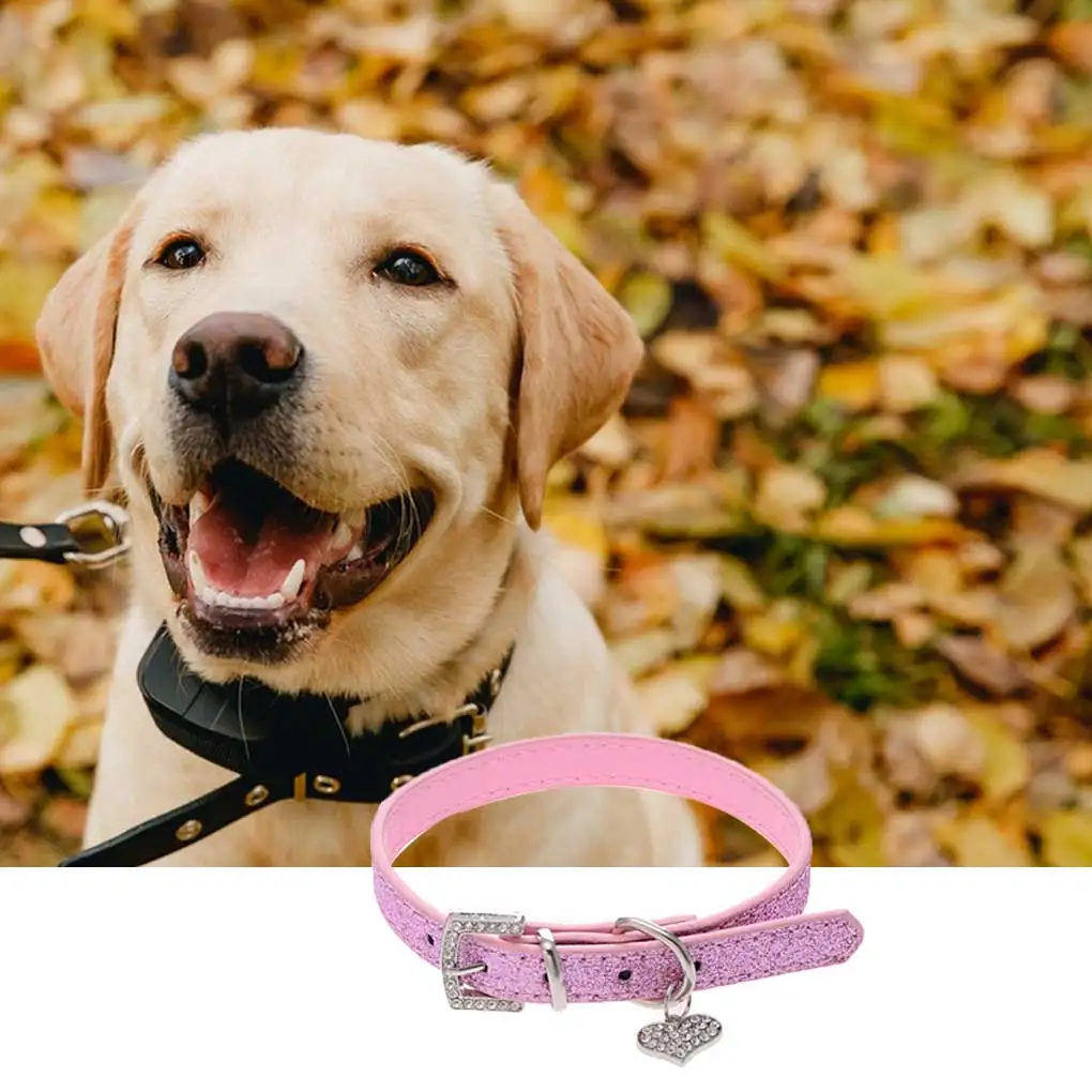 Traction Rope Adjustable Dog Collar Portable Lightweight Pets Necklace