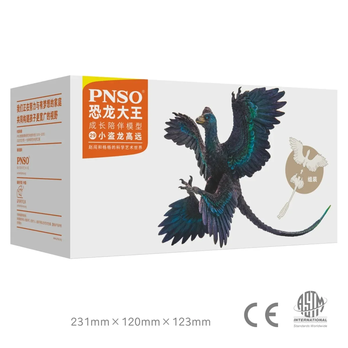 PNSO Microraptor Figuur 29 Dromaeosaurus Model Dinosaurus Dier Verzamelaarsdecoratie Cadeau Volwassenen Collectie Wetenschap Thuis