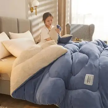 Winter thickened lamb wool quilt double-sided fleece warm quilt student dormitory single double bed home bedding