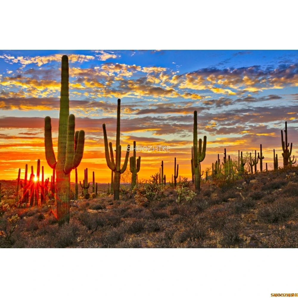 砂漠の写真の背景,自然の風景の肖像画,写真の背景,ダスター,サボテン,山,低木,丘の中腹