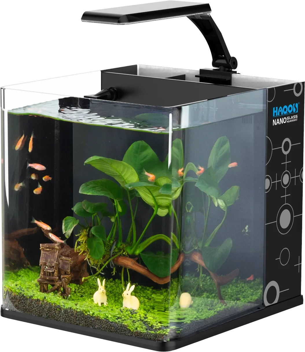 

Ultra Clear Glass Mini Salt Water Aquarium Fish Tank for Marine