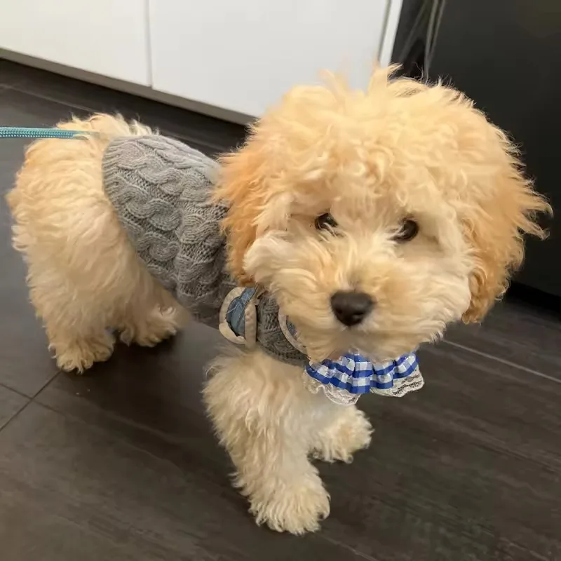 Abbinare il maglioncino pied de poule cane al tuo outfit
