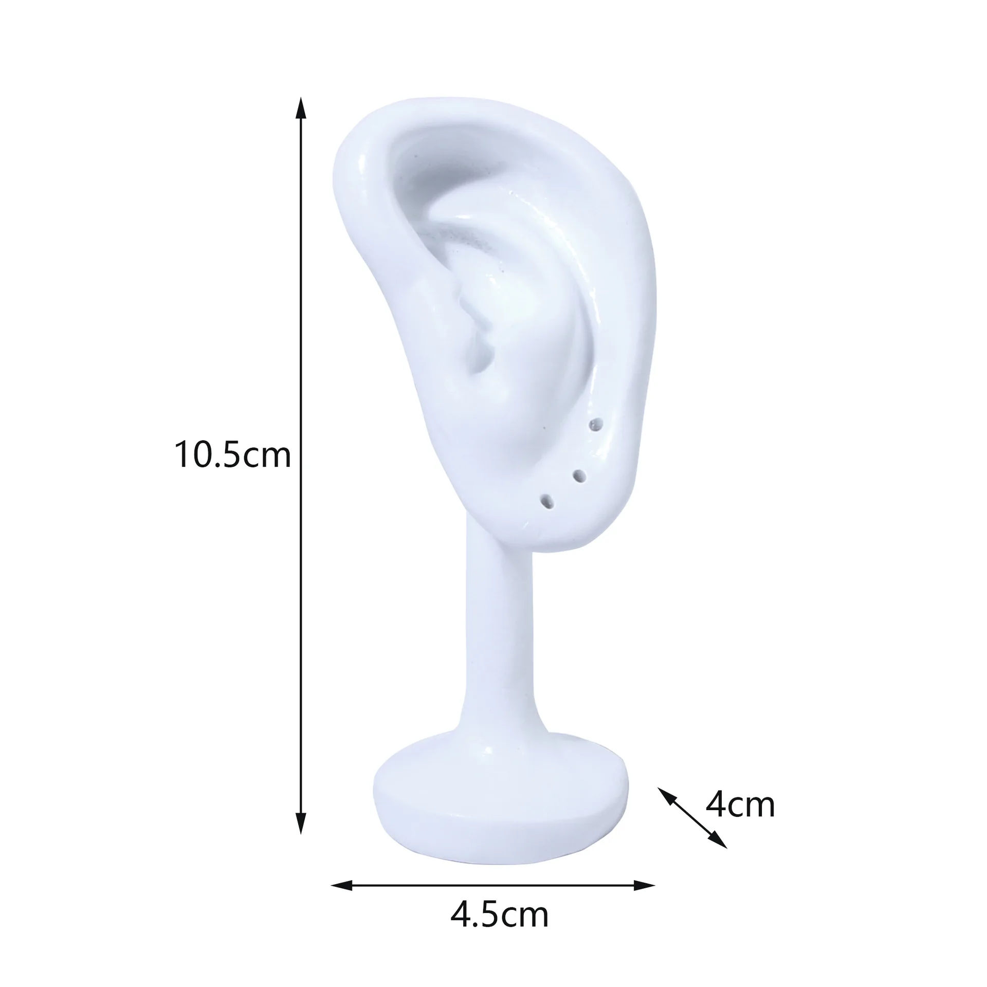 Realistic Silicone Ear Model Display Stand