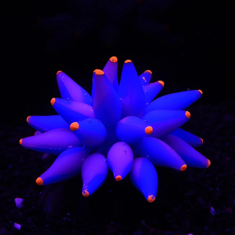 

Fluorescent Bubble Coral Luminescence Effect Succulent Coral Fish Tank Aquarium Underwater World Plant Decoration Accessories