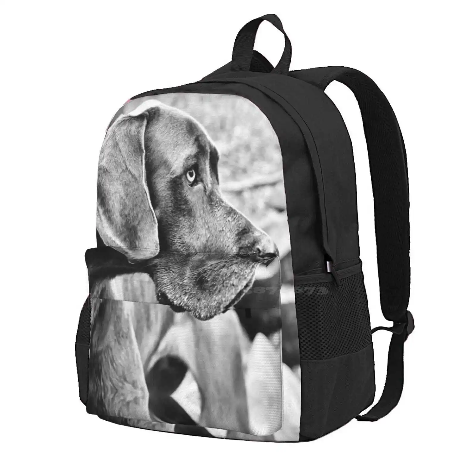 Blue Black Great Dane Hot Sale Schoolbag Backpack Fashion Bags Great Dane Greatdane Brindle Black Fawn Mantle Merle Boston Dogs