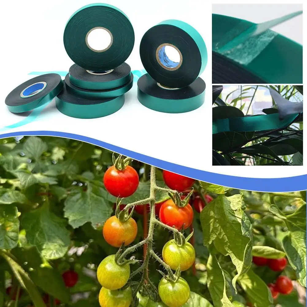 45 متر حديقة الشريط بولي كلوريد الفينيل رباط للكابل للنباتات الزهور تزايد تسلق قابلة لإعادة الاستخدام دعم النبات هوك وحلقة السحابة #1