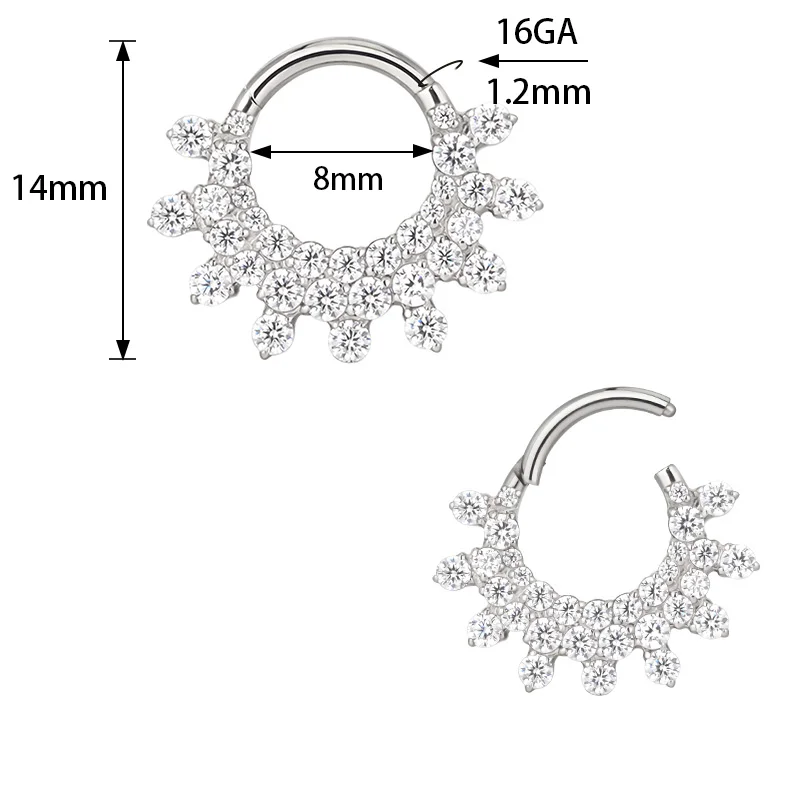ASTM F-136 Titanium EAR Nose Ring PIERC CZ Surround Segment Ring  Hoop Face Hinged Clicker Labret Ear wheel Cartilage Piercing