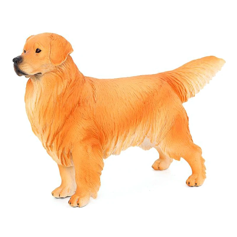 Simulation Animal Dog Model Big Golden Retriever Pet Dog Science Education Models Childrens Gift Toys