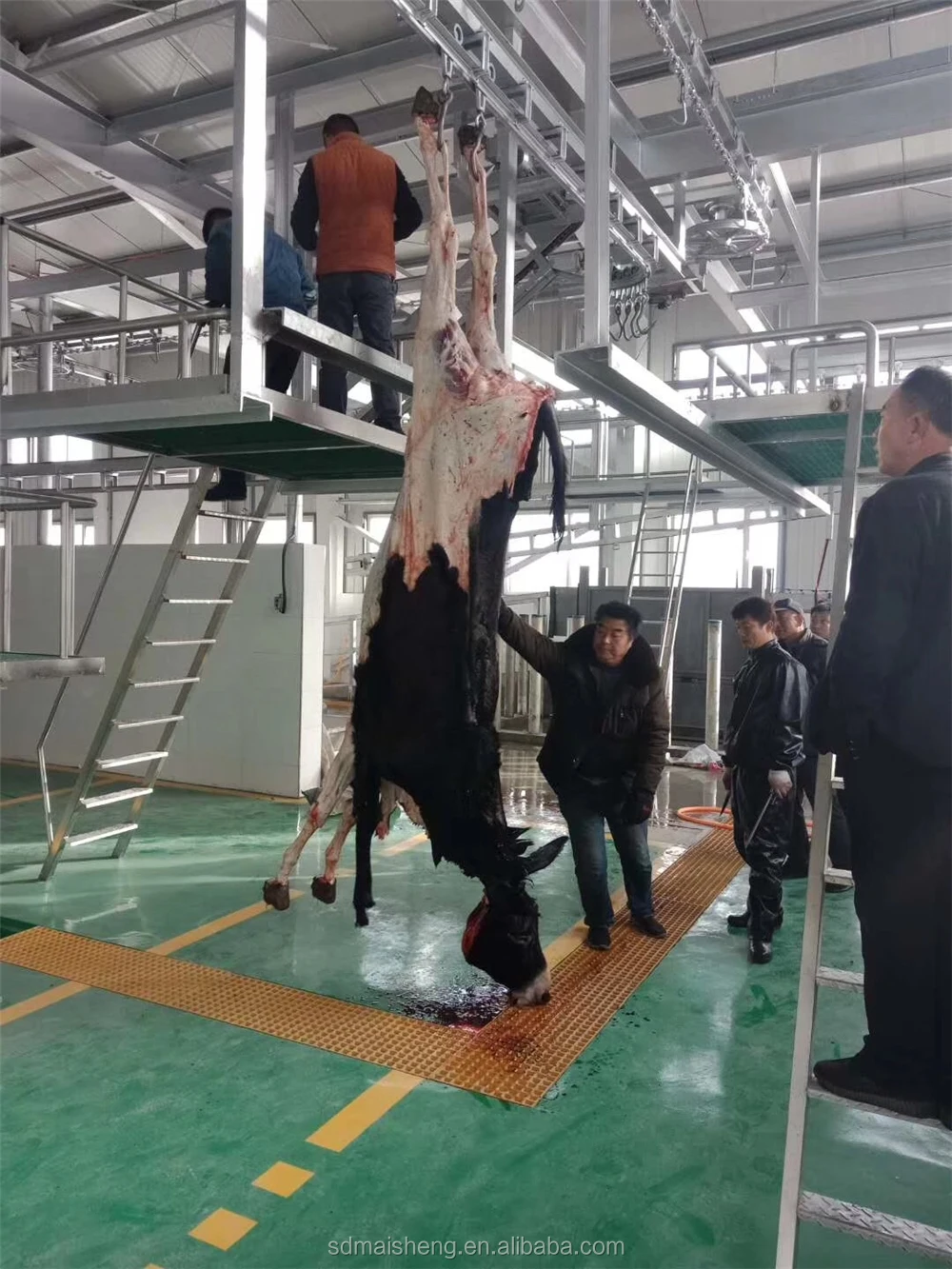 中国工場食肉加工屠殺場豚屠殺場設備プラント枝肉吊り下げコンベアレール豚屠殺機