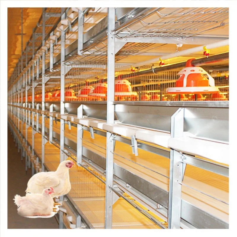 Gaiola automática para frango de grelhar para equipamentos agrícolas de aves