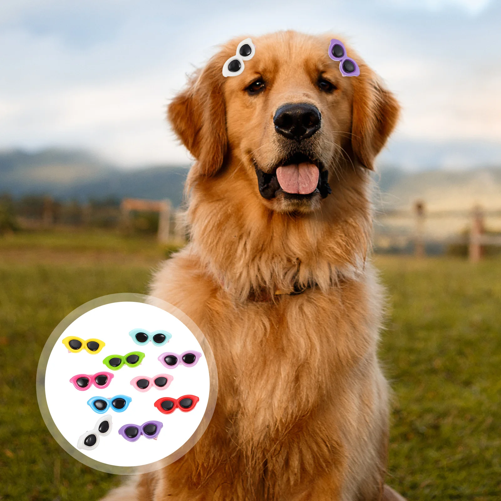 

10pcs Pet Dog Hairpins Sunglasses Shape Hair Clips For Dogs Cats Decorative Summer Pet Hair Accessories Mixed Color