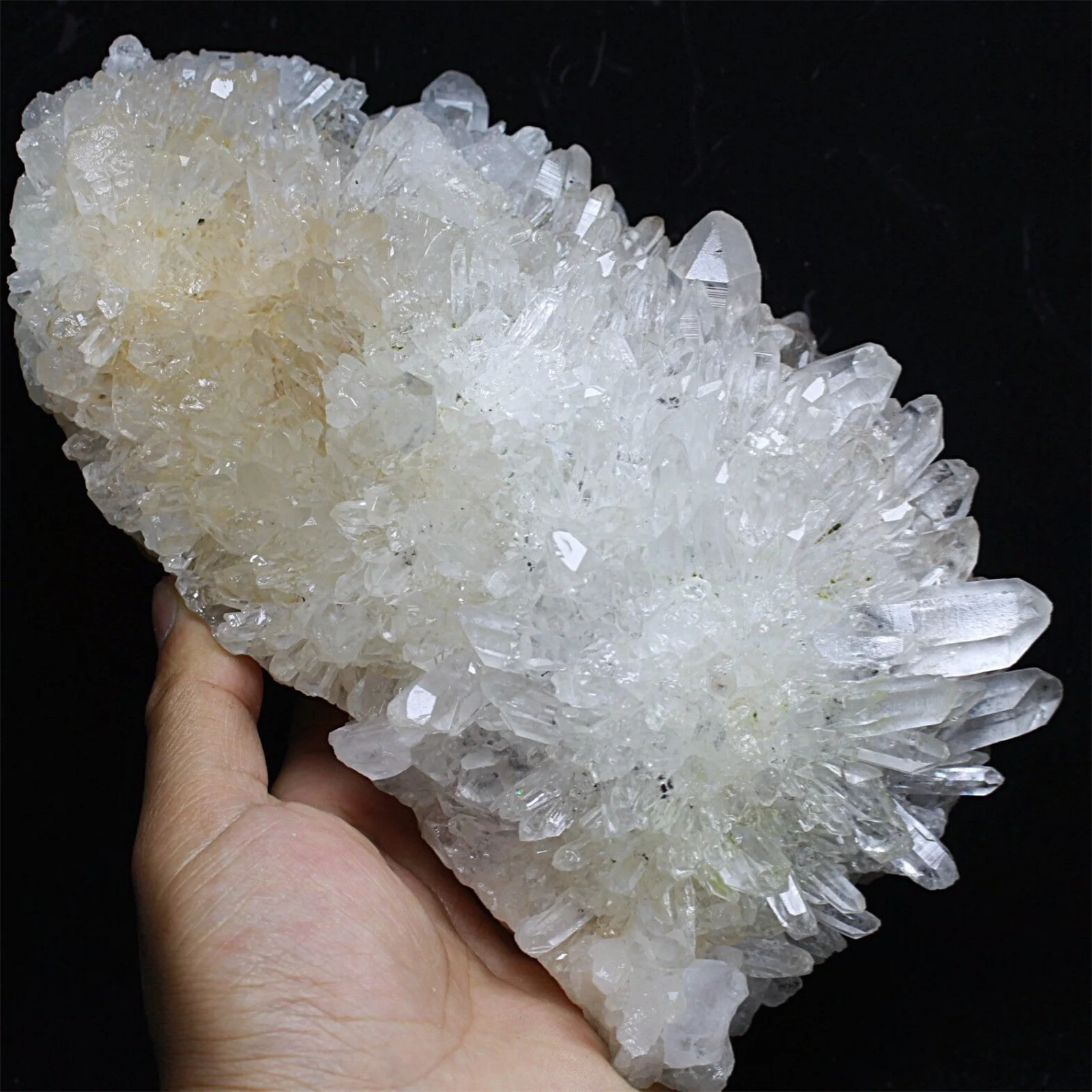 Newly Discovered Transparent Natural White Chrysanthemum Crystal Cluster Quartz Specimen