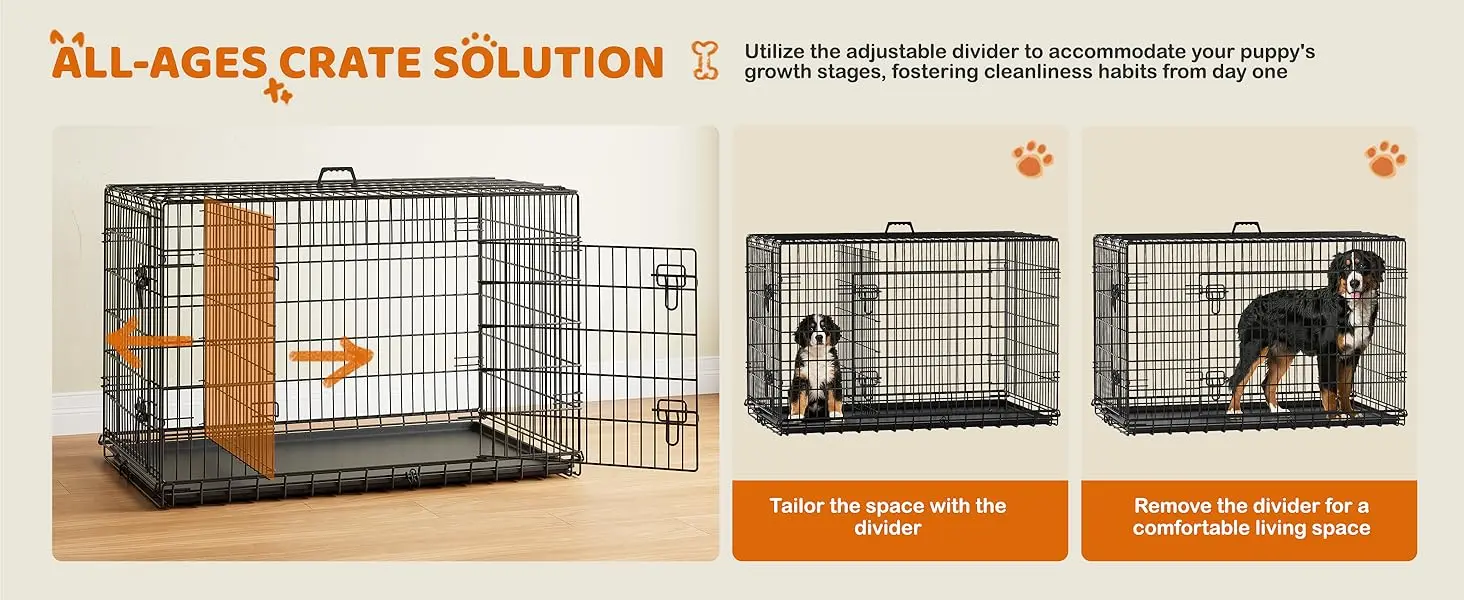 dog crate