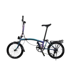 Liteproblite 16 Inch Folding Bicycle 9-Speed Shimano S/M Handle Chrome Molybdenum Frame V Brake Customizable Color