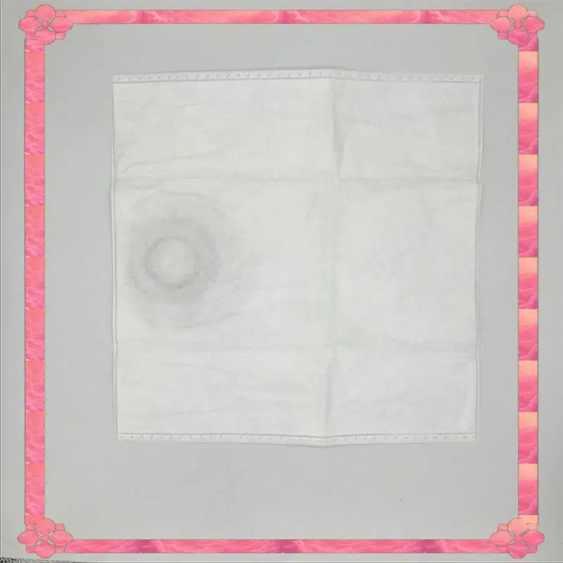 24-Hour Delivery Dust Bags For  VC2010L VC2512L VC2012L VC3011L VC3012L Robot Vacuum Cleaner Part Sweeper Replacement