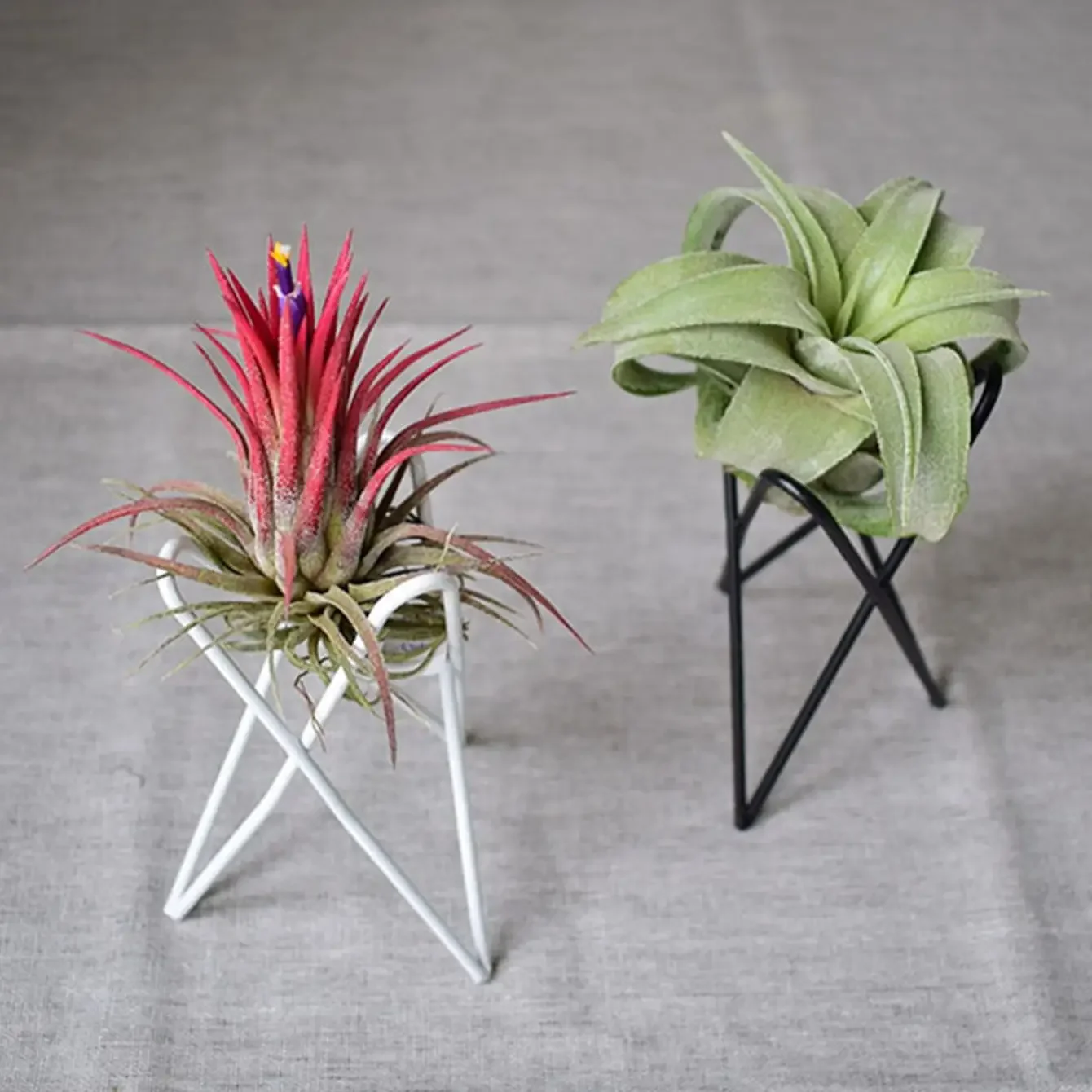 1pc Random Color Plant Rack, Minimalist Iron Plant Holder  Indoor And Outdoor