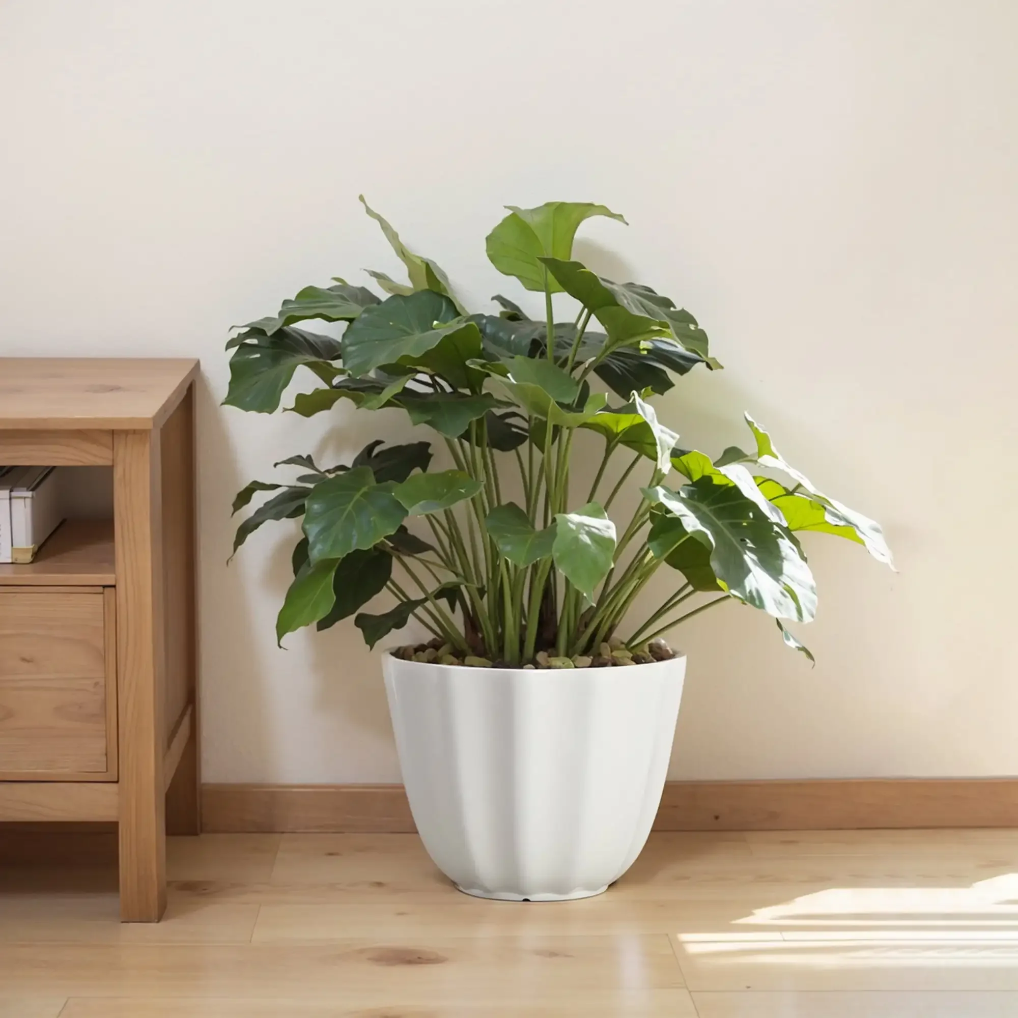 再生樹脂製植木鉢 クリーム色 アマポラ付き、12インチ x 12インチ x 9.4インチ