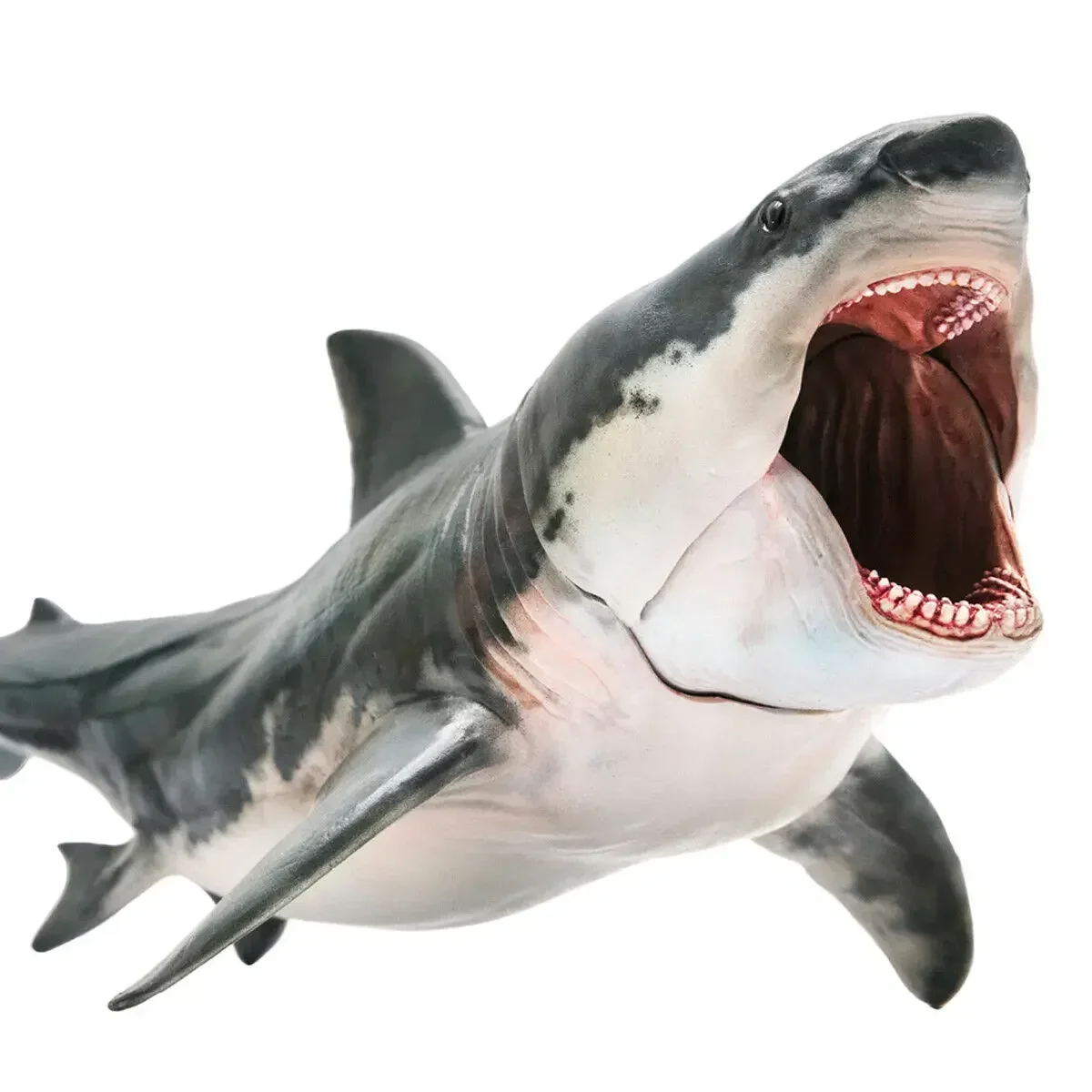 Megalodon Model Figure Action Shark Prehistoric Ocean Animal Adult Kids Collection Science Education Toys Gift Home Decor