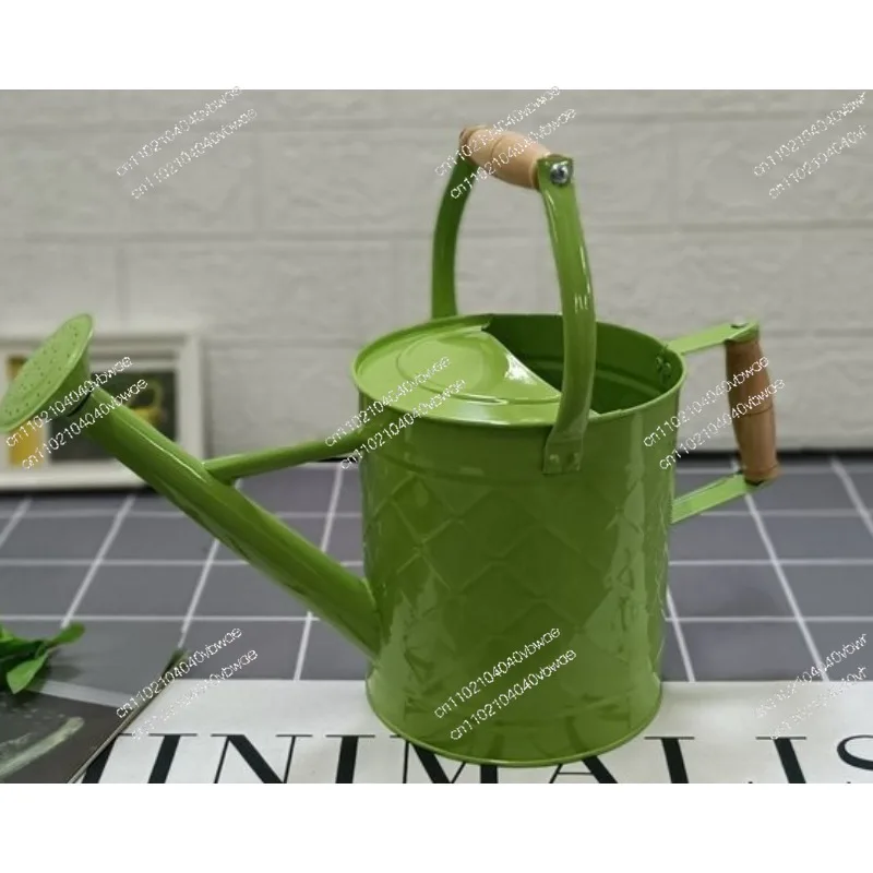 dual-purpose-iron-watering-kettle-watering-flowers-household-vegetable-growing-flowers-large-watering-pot