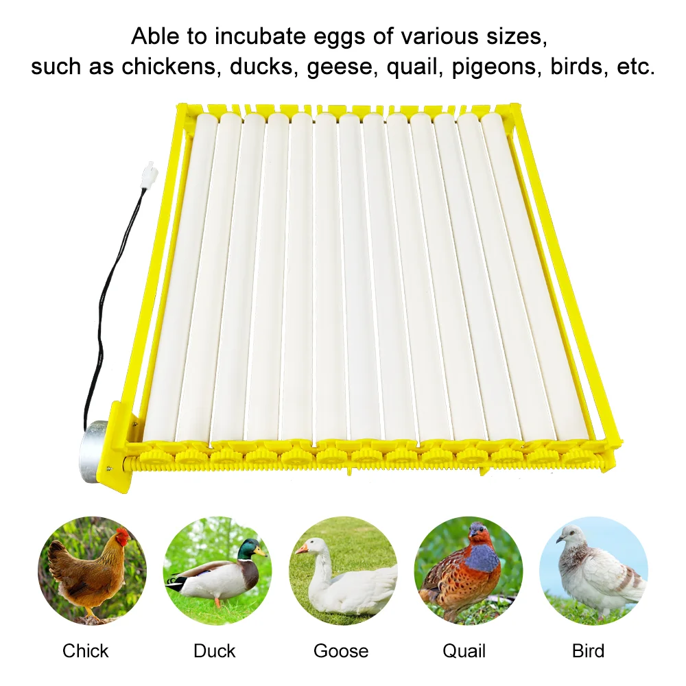 Eggs Incubator Automatic Turning Tray with Motor Farm Poultry Hatching Device for 56 Chicken Eggs, or 156 Quail Eggs