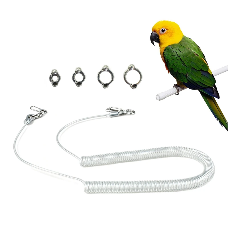 Corde d'entraînement pour perroquet avec 4 anneaux de pied de différentes tailles, kit de vol léger pour extérieur, corde de traction pour oiseaux, jouet d'entraînement élastique