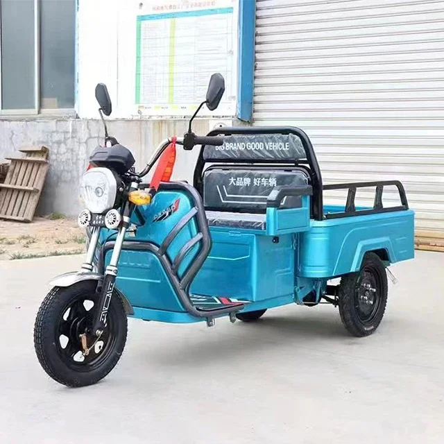 Popular Three-wheeled Electric Motorcycle Speed 600w Carbon Steel Motor Electric Three-wheeled Recreational Vehicle