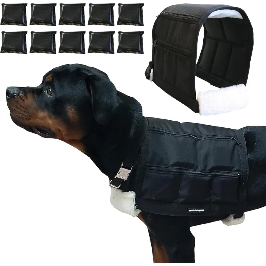 ActiveDogs Chaleco para perros con pesas para entrenamiento de agilidad canina mejora el ejercicio fuerza tirar potencia y resistencia Pe