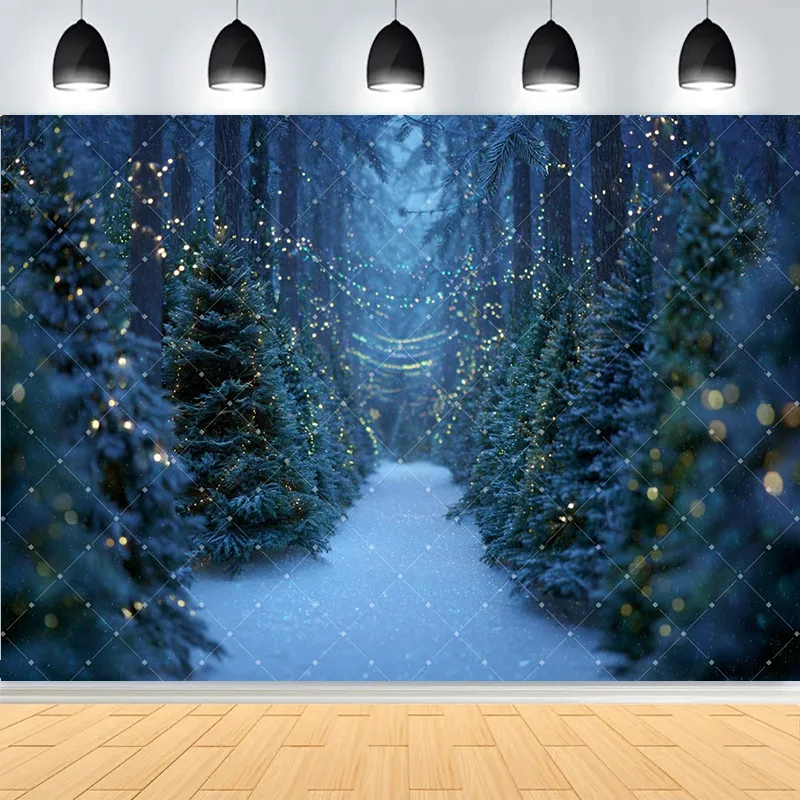 Winter Merry Christmas Festive Windows Photography Background Snowflakes Birthday Party New Year Photo Studio Backdrops PL-23