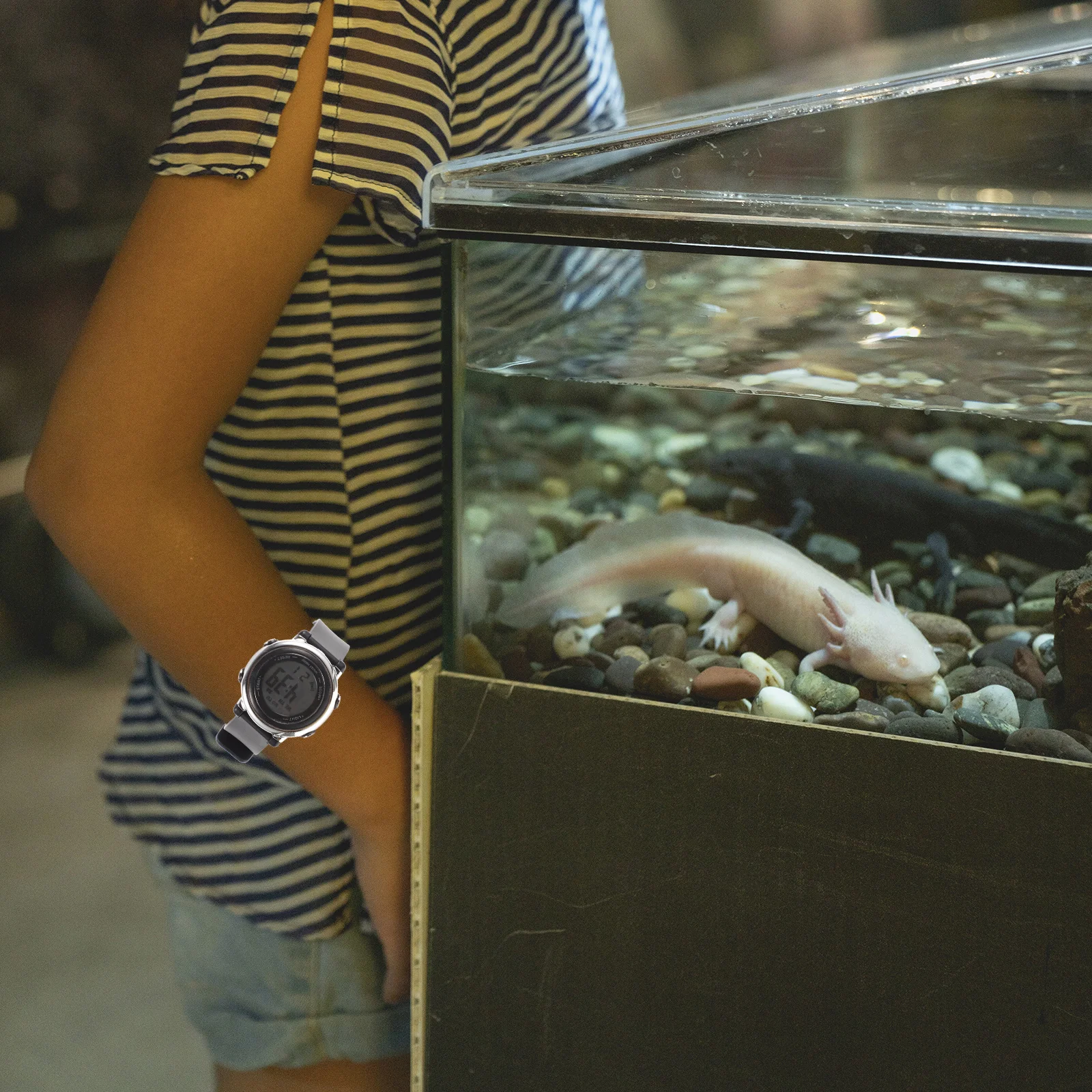 

Kids Waterproof Digital Watch Lightweight Durable Electronic Wristwatch for Boys Girls Night Light Alarm Student Gift