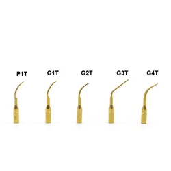 Embouts de Détartreur Ultrasonique Dentaire en Titane et Or, Pièce à Main pour Calcul EMS, Pic VRN, G1T, G2T, G3T, G4T, P1T, P3T, 5 Pièces/Lot