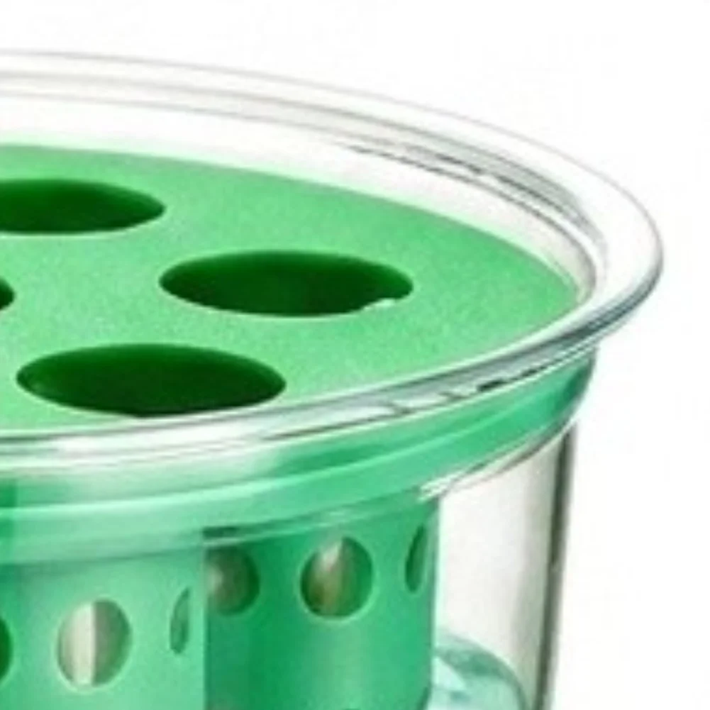 For Teaching Gardening Green Onion Regrower Constant Supply Of Greens Windowsill Gardening Set Waste Reduction Tool