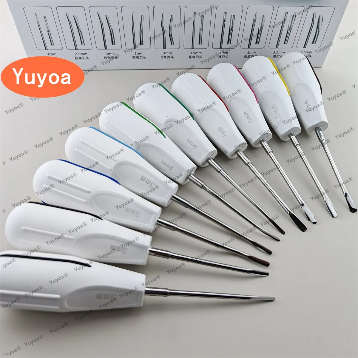 10pcs/set Dental Teeth Extracting Elevator 2/3/4/5/5.5mm Plastic Handle Curved/Straight Surgical Luxating Forceps