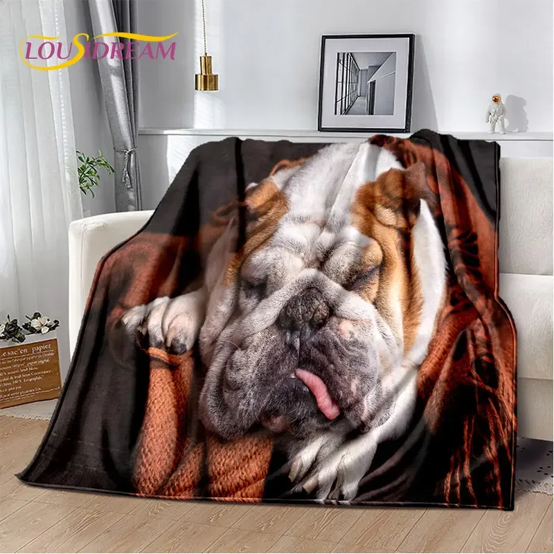 

3d Print Blanket Cartoon French Pit Bull Dog Pet Soft Plush Blanket for Living Room Bedroom Bed Sofa Picnic Cover When Sleep