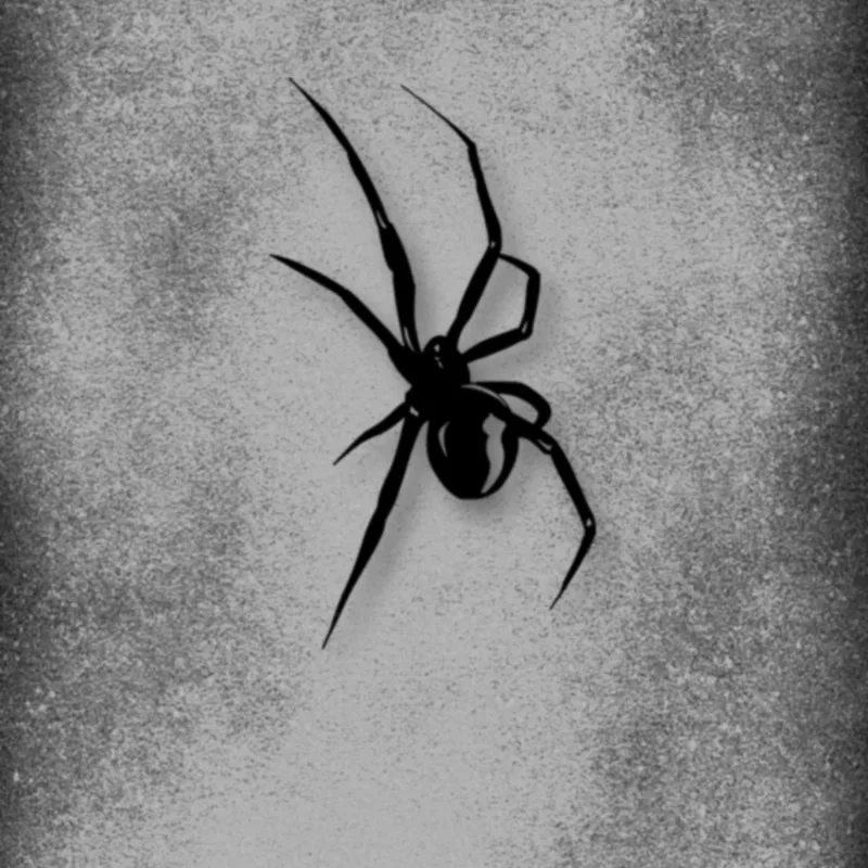 

1PC Stylish Black Spider Vinyl Sticker, Perfect for Decorating Notebooks, Water Bottles, Guitar Cases