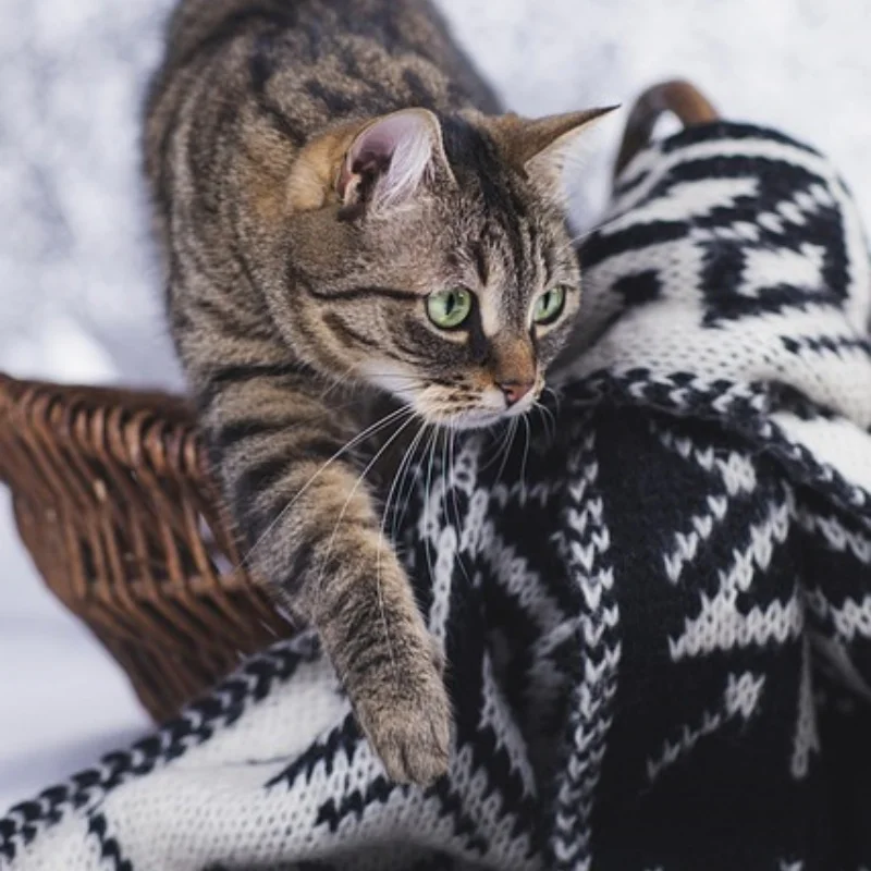 

1 комплект, регулировочная линейка 17 мм для trxs 1/8 Rally Short Truck 1/7, электрический внедорожник