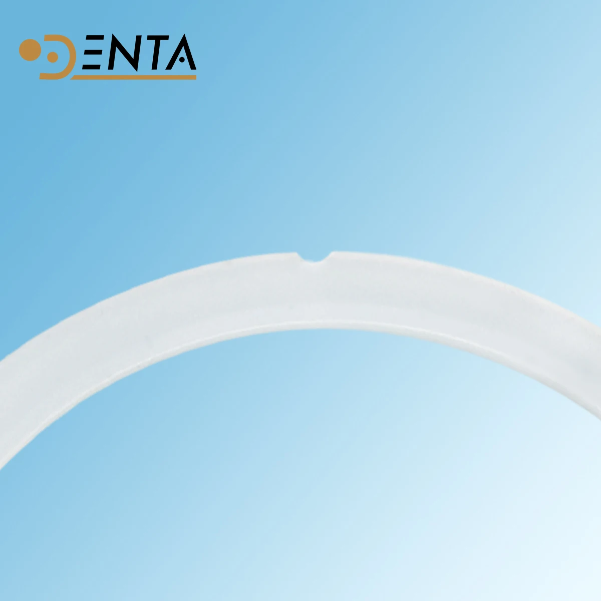 fit Melag autoclave Melag 15 MELAtronic 15/15EN/15EN+  Autoclave/sterilizer - door gasket o ring seal tools parts