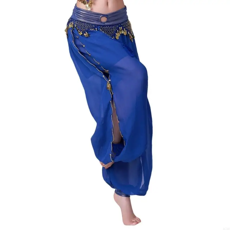 Costumes danse du ventre Belly Dance Coin Lantern Pants Split Sequins Harems Pantal