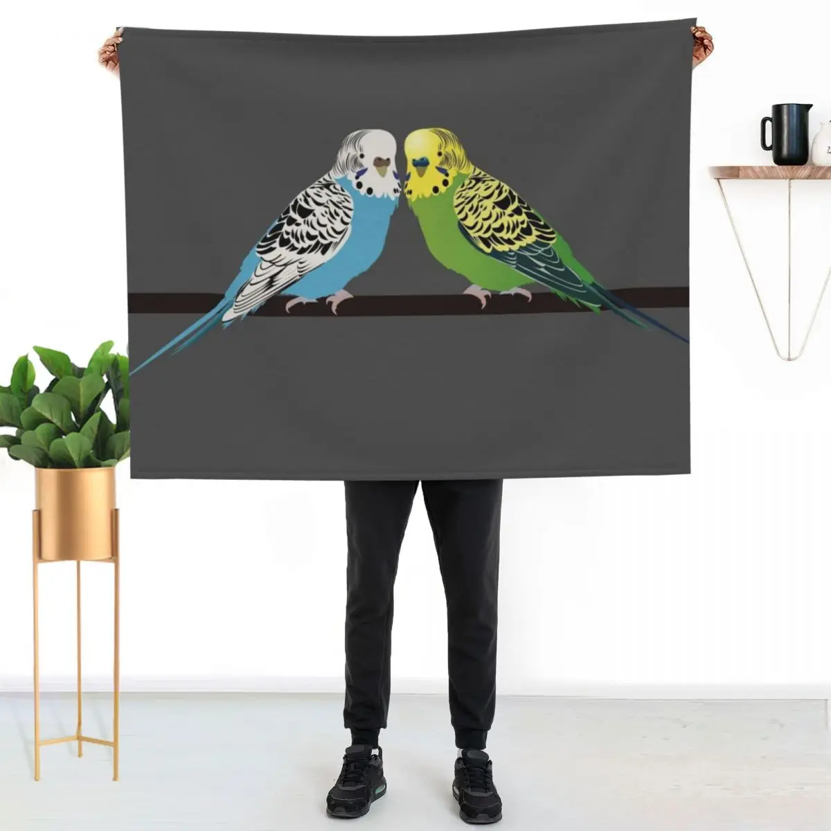 Budgies Throw Blanket Bed covers Thin Nap for babies Furry Decorative Throw Blankets