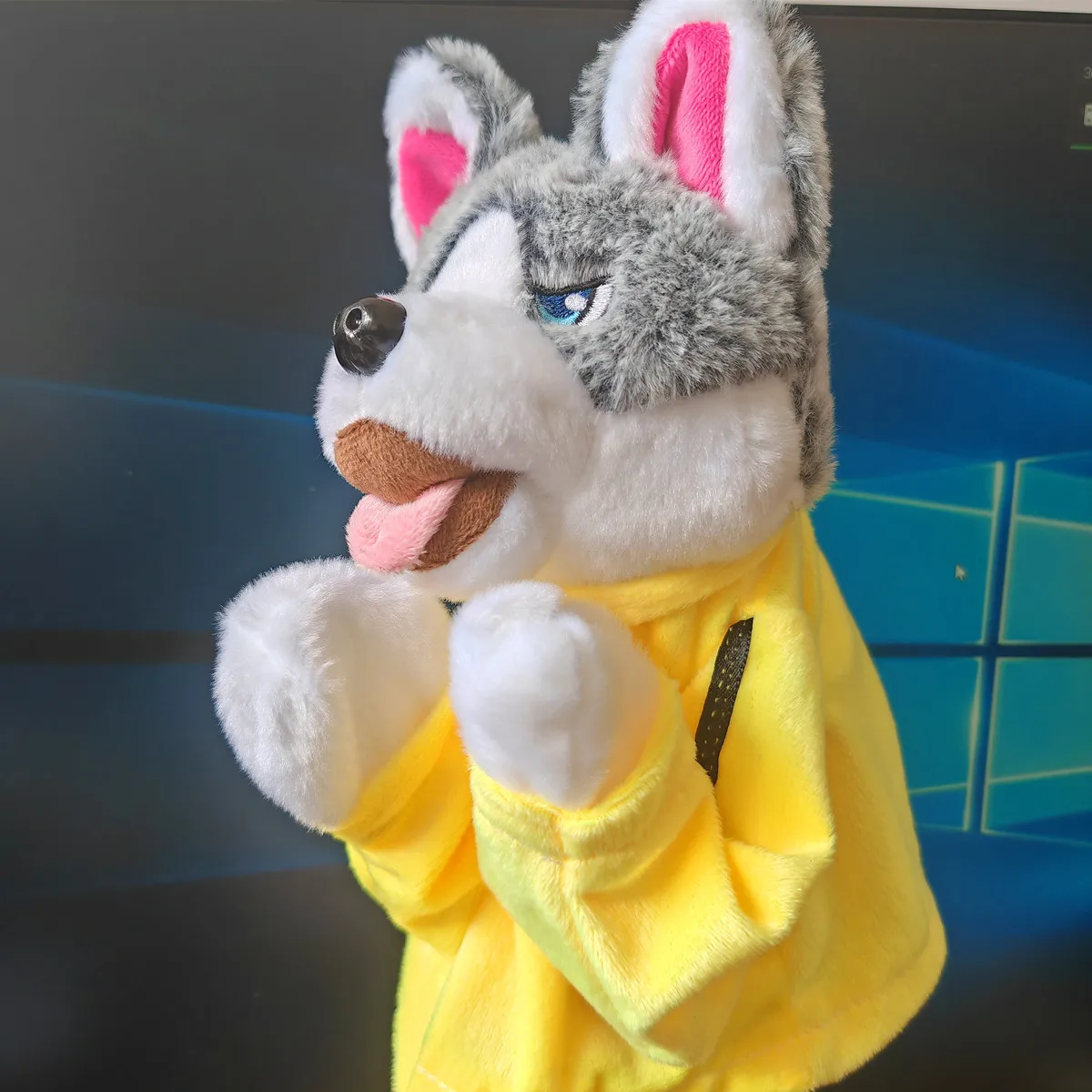 دمية هاسكي الملاكمة الكلب القطيفة ستصبح دمية يد الصوت