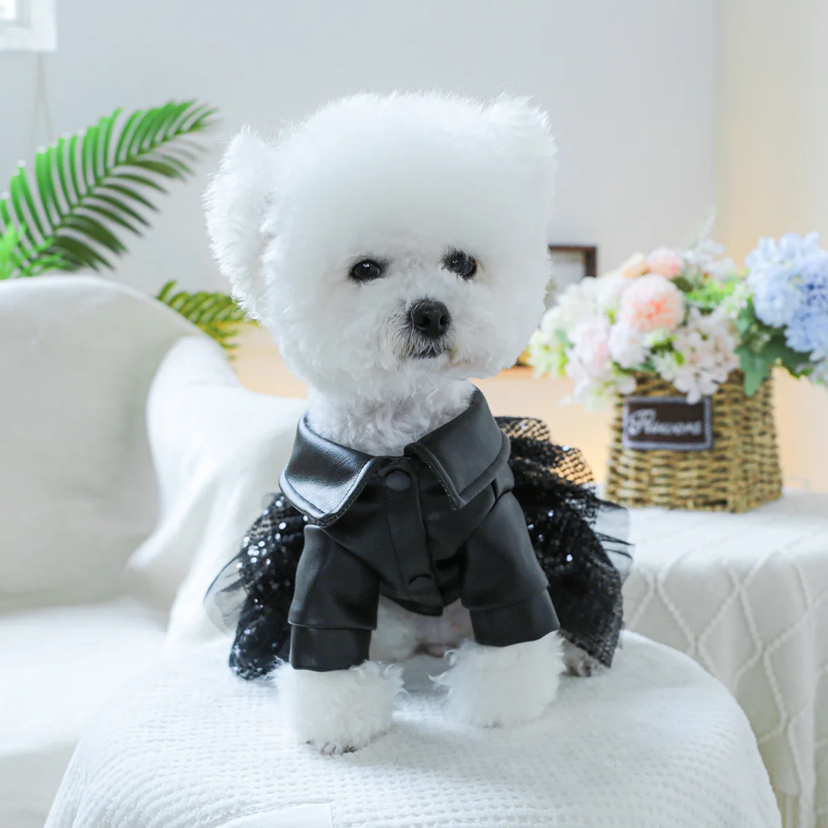 1PC pet clothing sequined small leather skirt autumn and winter handsome princess skirt suitable for small and medium-sized dogs