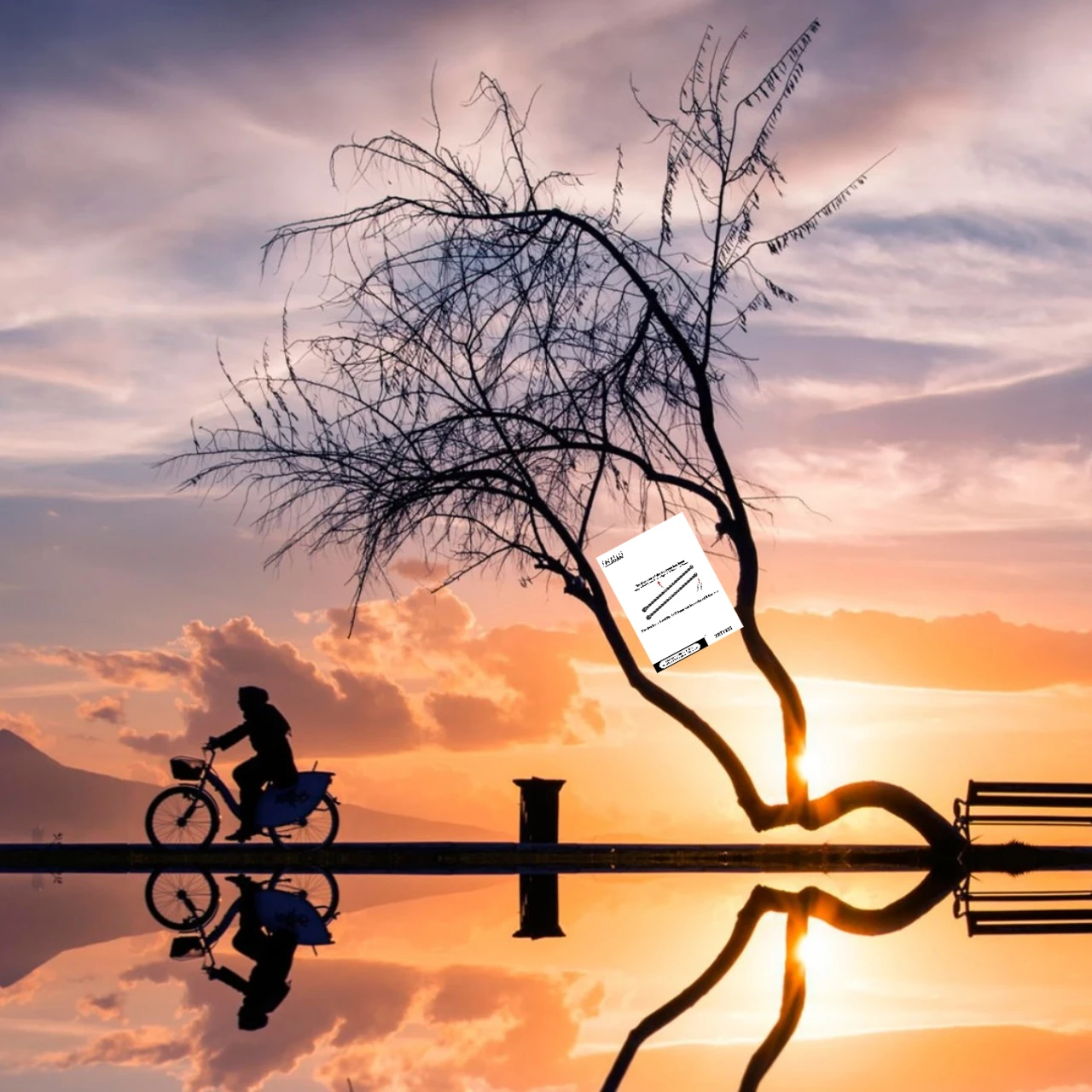 

Сменный штифт GPM из среднеуглеродистой стали Dogbone для XRT X-Maxx 8S WideMaxx — механическая часть # 7895