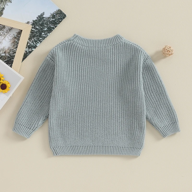 Toddler Baby Girl Boy Long Sleeve Knit Sweater Cute Round Neck Pullover Fall Winter Warm Tops Clothes