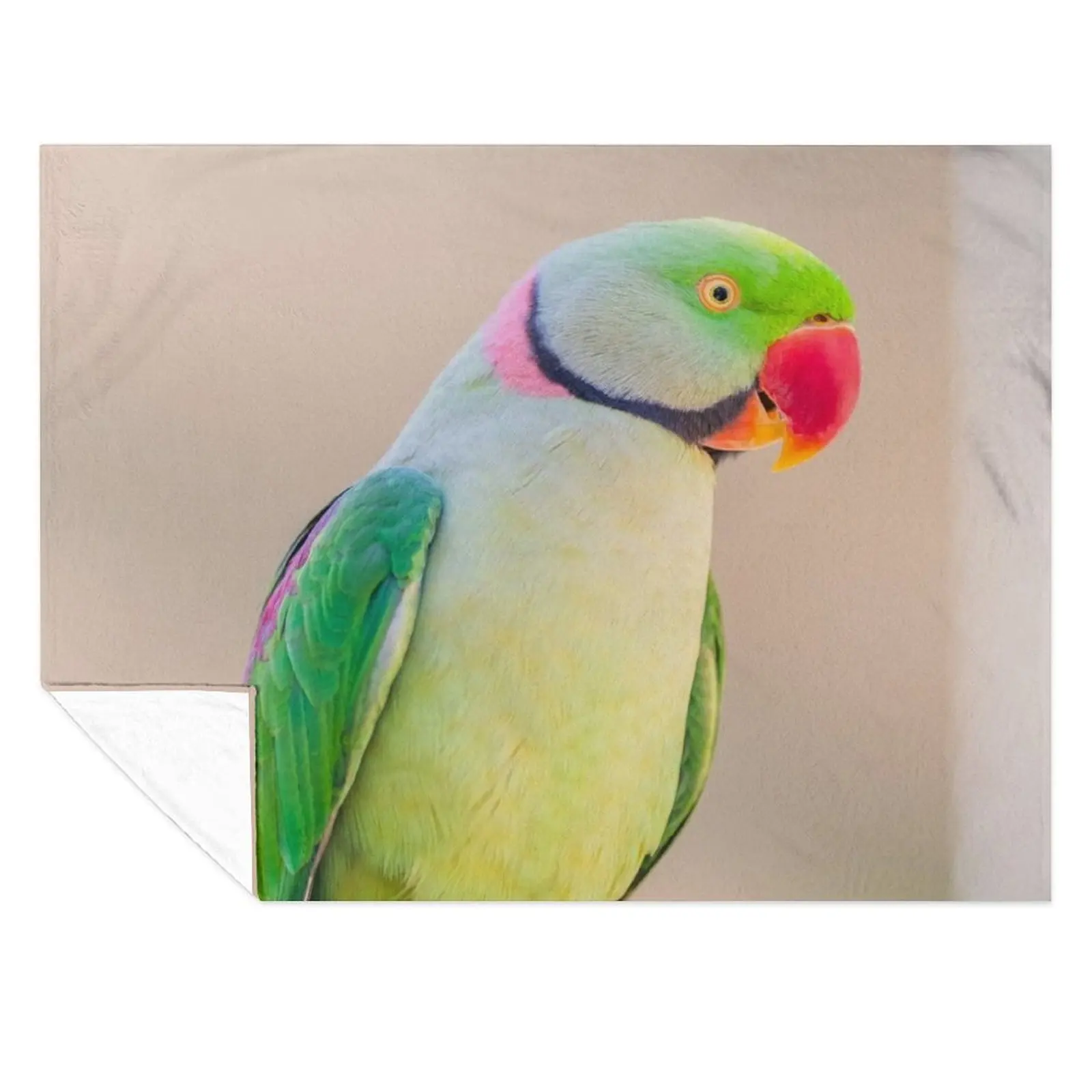 

Indian Ring Neck On Stick Throw Blanket Beach Travel Soft Big Luxury Thicken Blankets