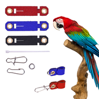 7 Size Pet Parrot Leg Ring Ankle Foot Chain Bird Suede Foot Ring Chain Leather Parrot Foot Live Buckle Rings Accessories 4 Color